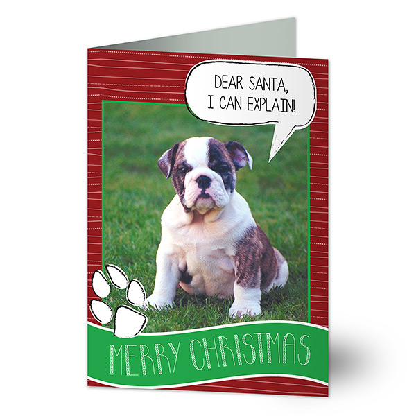 Dog Christmas Photo Card