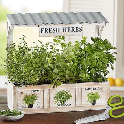 holiday gift basket Herb Garden