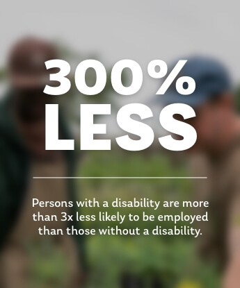 Persons with a disability are more than 3x less likely to be employed