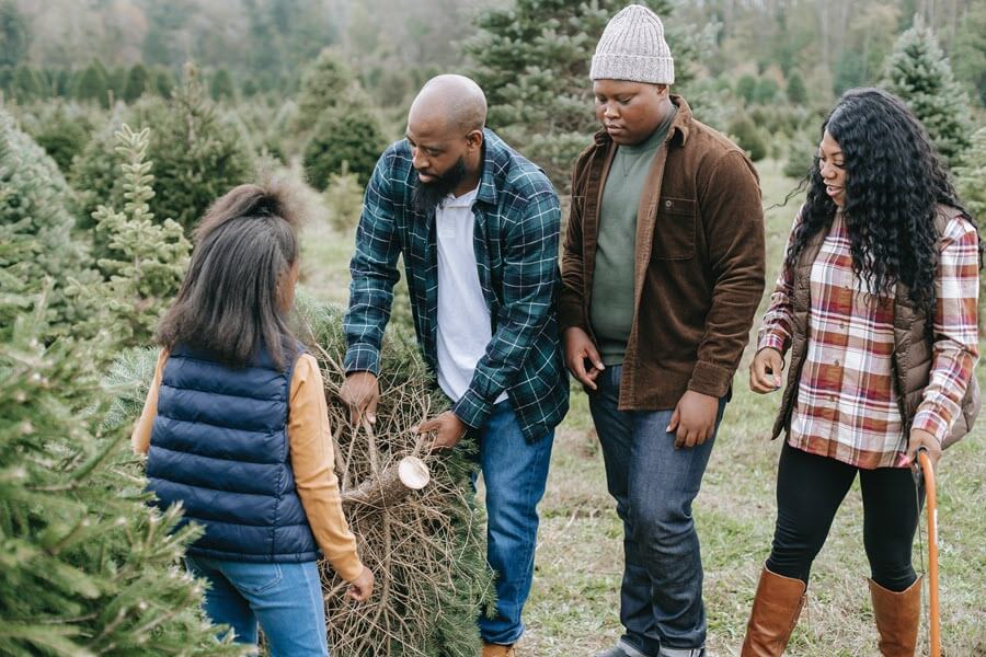 Christmas Traditions for Kids with picking out chritsmas tree