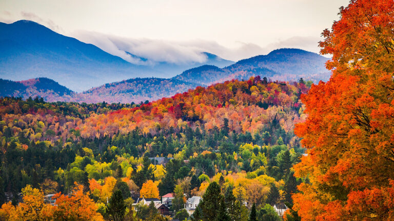 Loving Fall: Why It’s More Than Autumn Leaves and Cooler Temperatures