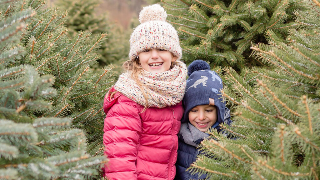 christmas card photo ideas tree farm