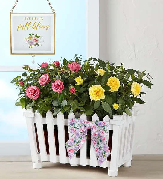 retirement gifts for women Charming Rose Garden