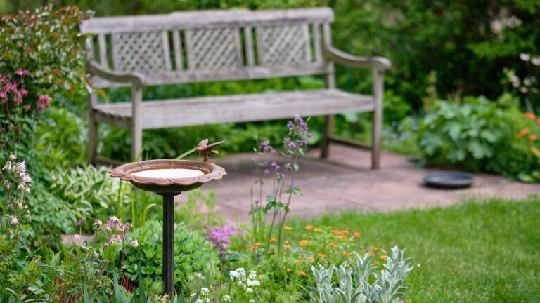 How to Design Your Own Memorial Garden