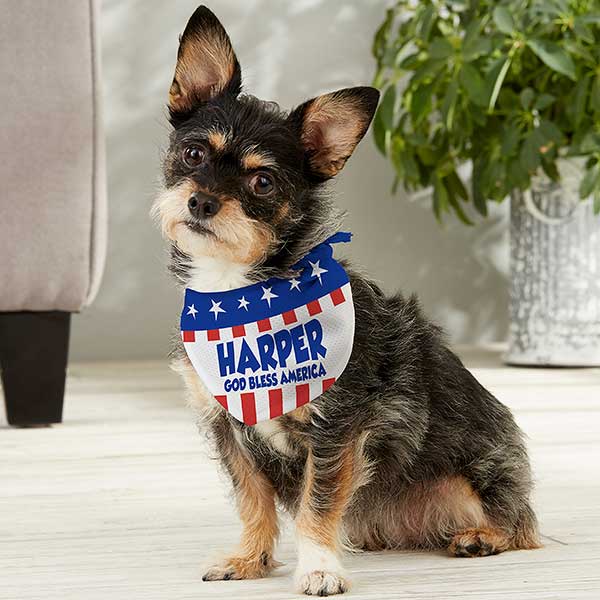 fourth of july gifts peraonalized dog bandana