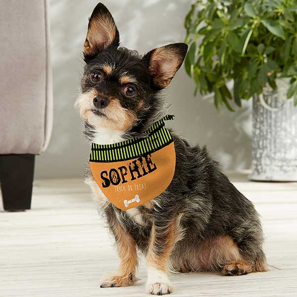 halloween gift ideas dog Bandana