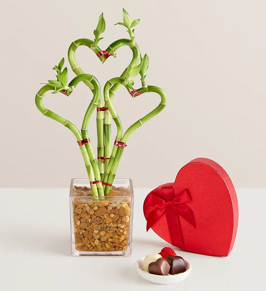 funny valentines gifts Sweet Heart Bamboo